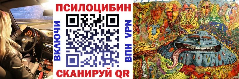 Галлюциногенные грибы Psilocybe  даркнет сайт  Нижний Новгород 
